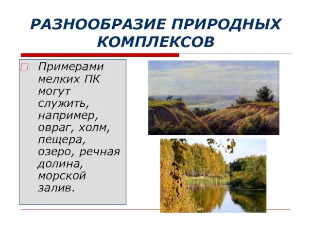 РАЗНООБРАЗИЕ ПРИРОДНЫХ КОМПЛЕКСОВ Примерами мелких ПК могут служить, например, овраг, холм, пещера,