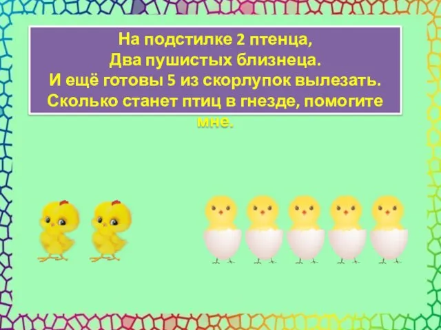 На подстилке 2 птенца, Два пушистых близнеца. И ещё готовы 5 из