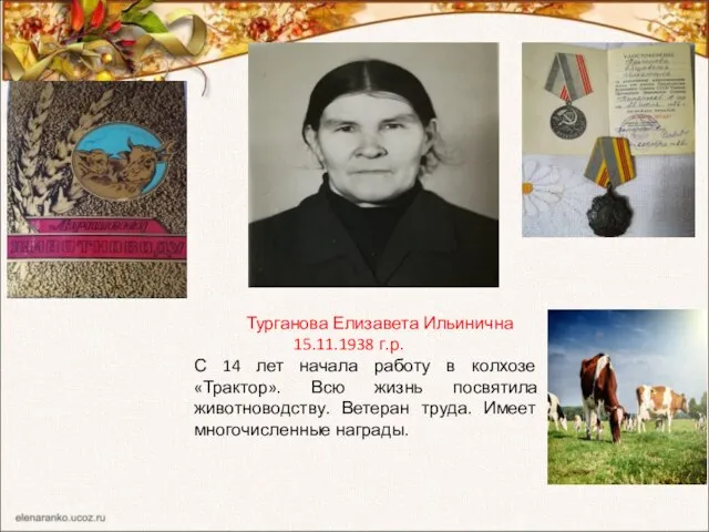 Турганова Елизавета Ильинична 15.11.1938 г.р. С 14 лет начала работу в колхозе