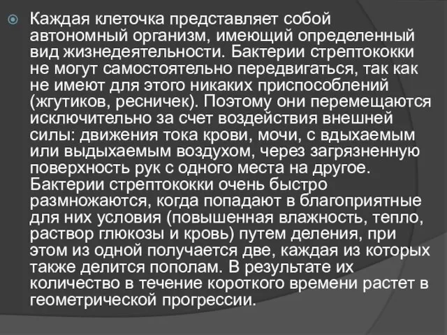 Каждая клеточка представляет собой автономный организм, имеющий определенный вид жизнедеятельности. Бактерии стрептококки