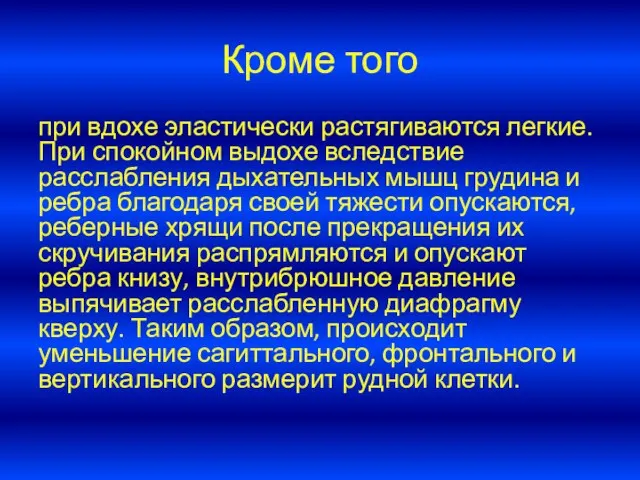 Кроме того при вдохе эластически растягиваются легкие. При спокойном выдохе вследствие расслабления