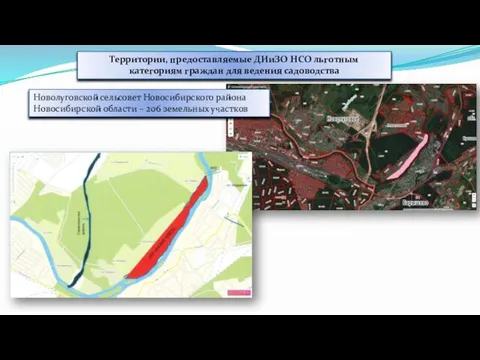 Территории, предоставляемые ДИиЗО НСО льготным категориям граждан для ведения садоводства Новолуговской сельсовет