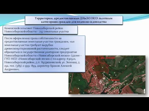 Территории, предоставляемые ДИиЗО НСО льготным категориям граждан для ведения садоводства Каменский сельсовет