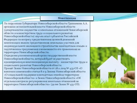 Монетизация По поручению Губернатора Новосибирской области Травникова А.А. органами исполнительной власти Новосибирской