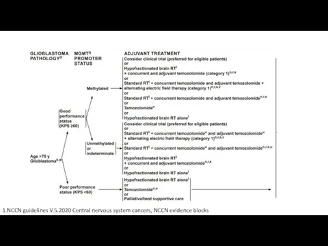 1.NCCN guidelines V.5.2020 Central nervous system cancers, NCCN evidence blocks