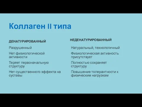 Коллаген II типа ДЕНАТУРИРОВАННЫЙ Разрушенный Нет физиологической активности Теряет первоначальную структуру Нет