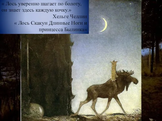 « Лось уверенно шагает по болоту, он знает здесь каждую кочку.» Хельге