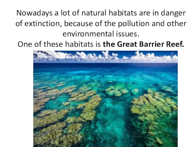 Nowadays a lot of natural habitats are in danger of extinction, because