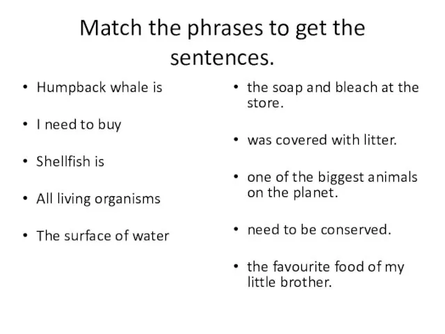 Match the phrases to get the sentences. Humpback whale is I need