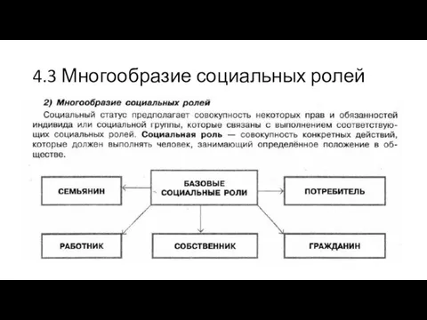 4.3 Многообразие социальных ролей