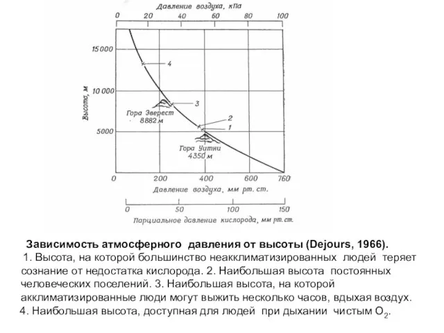 Зависимость атмосферного давления от высоты (Dejours, 1966). 1. Высота, на которой большинство