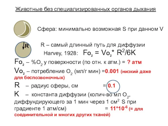 Животные без специализированных органов дыхания Сфера: минимально возможная S при данном V