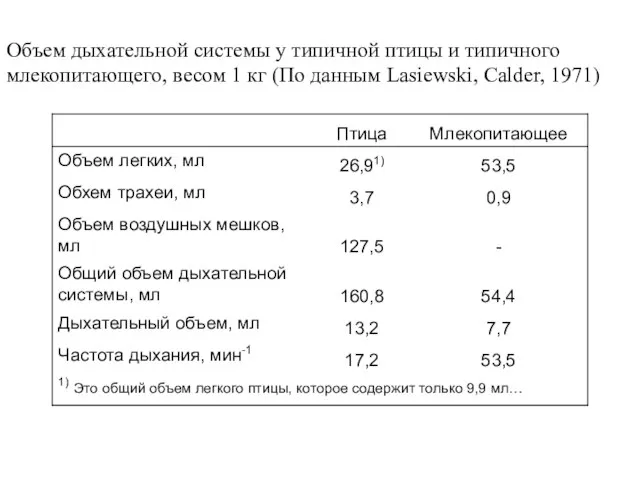 Объем дыхательной системы у типичной птицы и типичного млекопитающего, весом 1 кг