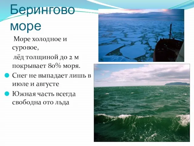 Берингово море Море холодное и суровое, лёд толщиной до 2 м покрывает