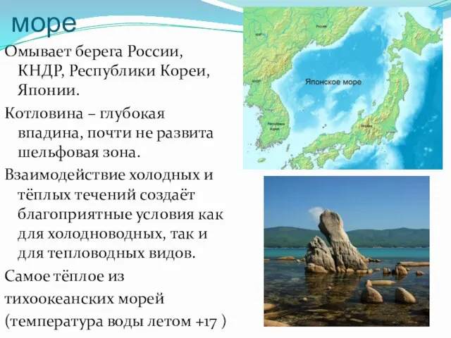 Японское море Омывает берега России, КНДР, Республики Кореи, Японии. Котловина – глубокая