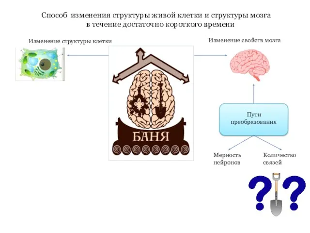 Способ изменения структуры живой клетки и структуры мозга в течение достаточно короткого