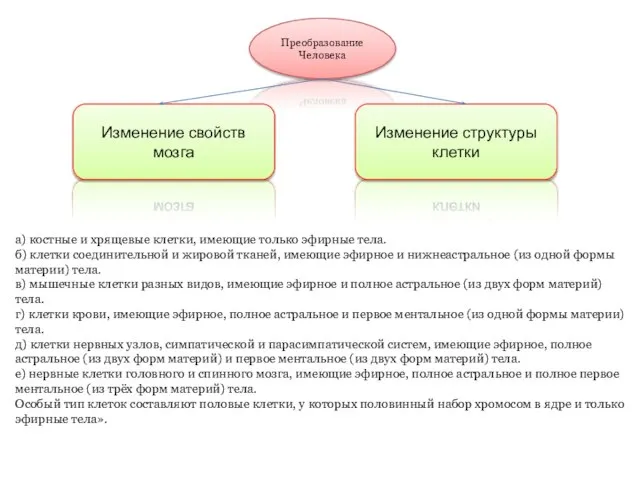 Преобразование Человека Изменение свойств мозга Изменение структуры клетки а) костные и хрящевые