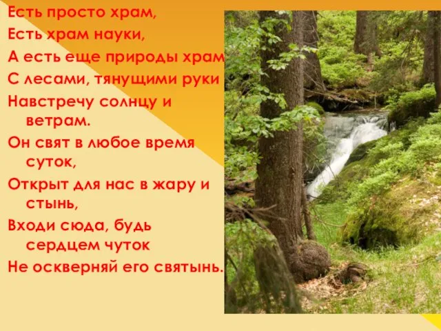 Есть просто храм, Есть храм науки, А есть еще природы храм С