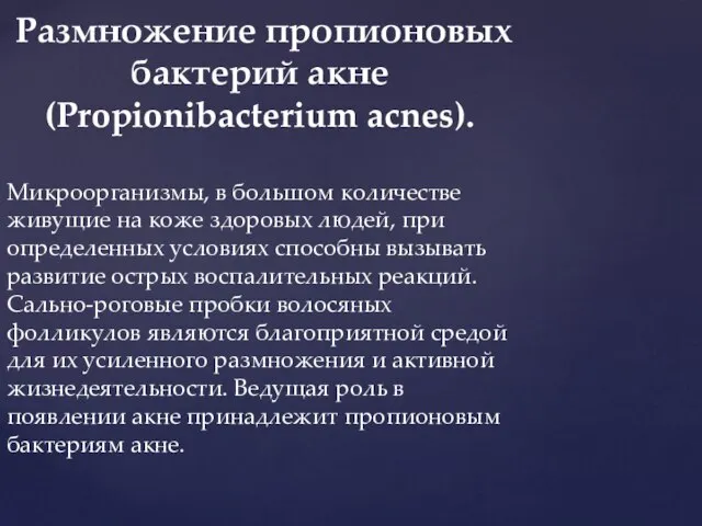 Размножение пропионовых бактерий акне (Propionibacterium acnes). Микроорганизмы, в большом количестве живущие на