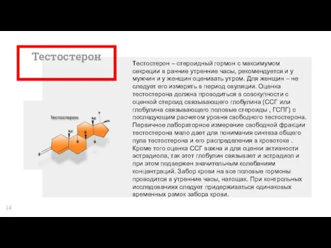 Тестостерон Тестостерон – стероидный гормон с максимумом секреции в ранние утренние часы,