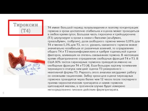 Тироксин (Т4) Т4 имеет большой период полувыведения и поэтому концентрация гормона в