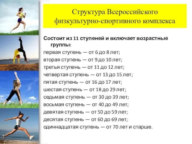 Структура Всероссийского физкультурно-спортивного комплекса Состоит из 11 ступеней и включает возрастные группы: