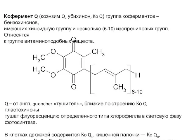 Кофермент Q (коэнзим Q, убихинон, Ko Q) группа коферментов – бензохинонов, имеющих