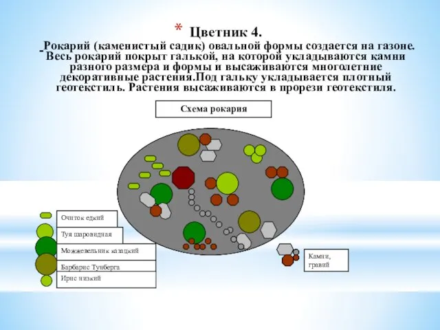 Цветник 4. Рокарий (каменистый садик) овальной формы создается на газоне. Весь рокарий