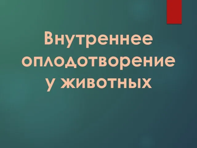 Внутреннее оплодотворение у животных