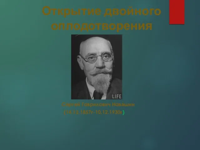 Открытие двойного оплодотворения Сергей Гаврилович Нава́шин (14.12.1857г-10.12.1930г)