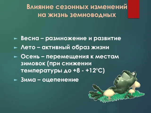 Влияние сезонных изменений на жизнь земноводных Весна – размножение и развитие Лето