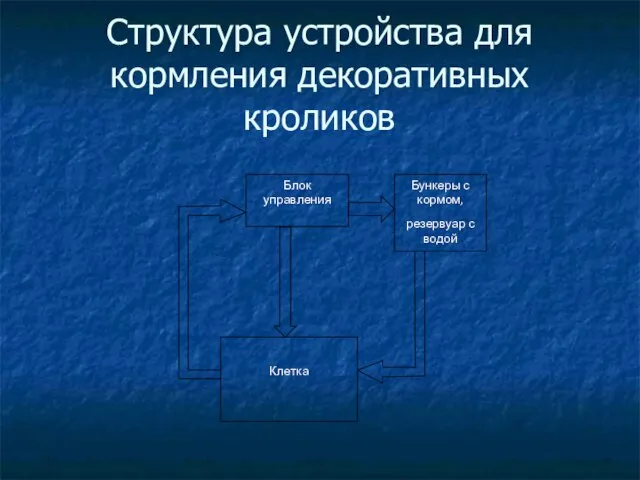 Структура устройства для кормления декоративных кроликов