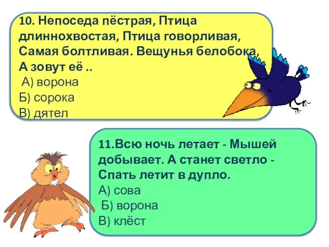 10. Непоседа пёстрая, Птица длиннохвостая, Птица говорливая, Самая болтливая. Вещунья белобока, А