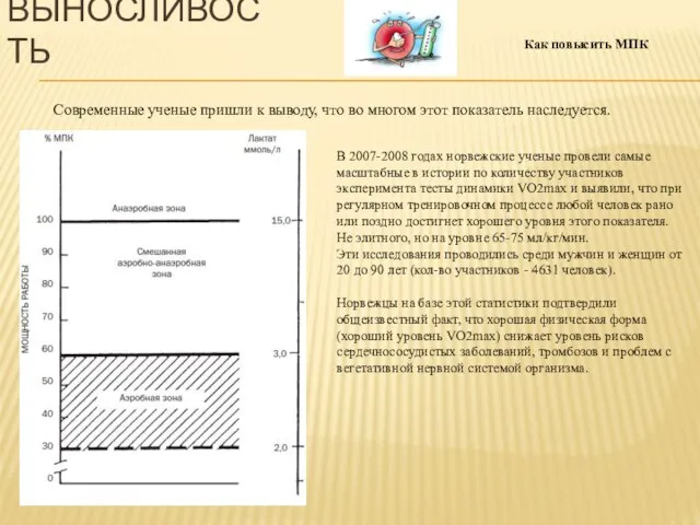 В 2007-2008 годах норвежские ученые провели самые масштабные в истории по количеству