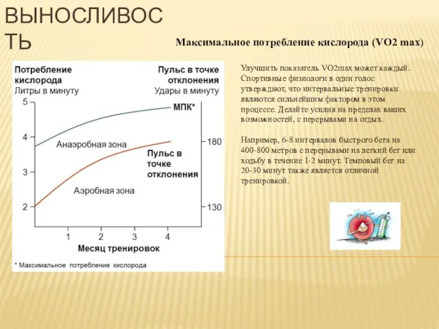 Улучшить показатель VO2max может каждый. Спортивные физиологи в один голос утверждают, что