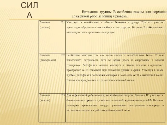 Витамины группы В особенно важны для нормальной и слаженной работы мышц человека. СИЛА