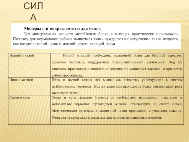 СИЛА Минералы и микроэлементы для мышц Без минеральных веществ метаболизм белка в