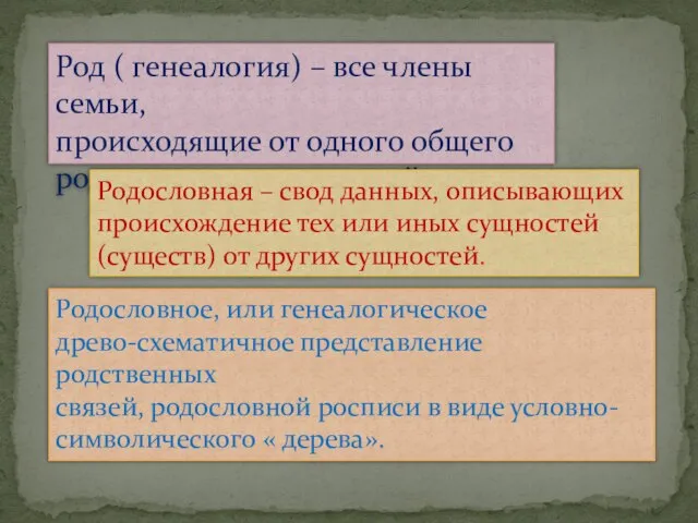 Род ( генеалогия) – все члены семьи, происходящие от одного общего родоначальника