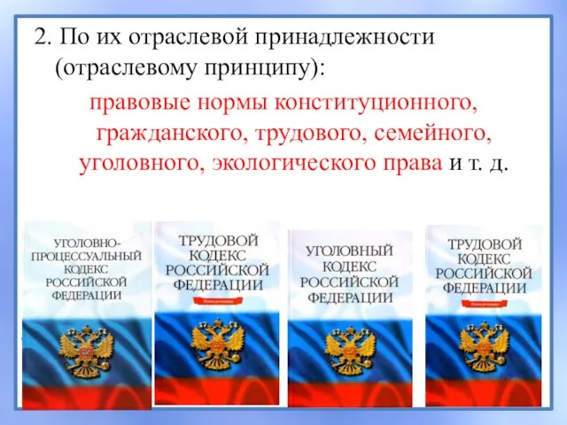 2. По их отраслевой принадлежности (отраслевому принципу): правовые нормы конституционного, гражданского, трудового,