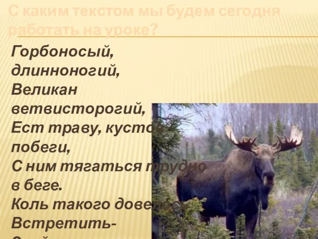 С каким текстом мы будем сегодня работать на уроке? Горбоносый, длинноногий, Великан