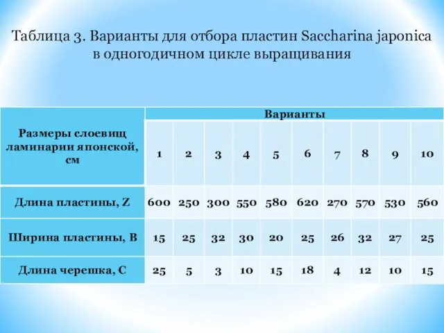 Таблица 3. Варианты для отбора пластин Saccharina japonica в одногодичном цикле выращивания