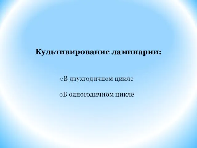 Культивирование ламинарии: В двухгодичном цикле В одногодичном цикле