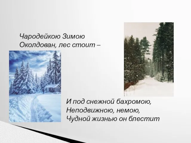 Чародейкою Зимою Околдован, лес стоит – И под снежной бахромою, Неподвижною, немою, Чудной жизнью он блестит