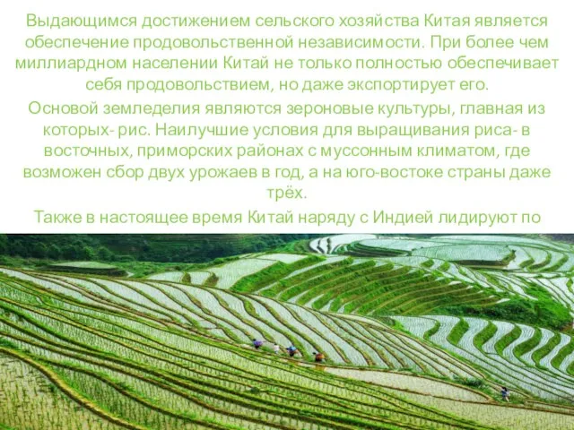 Выдающимся достижением сельского хозяйства Китая является обеспечение продовольственной независимости. При более чем