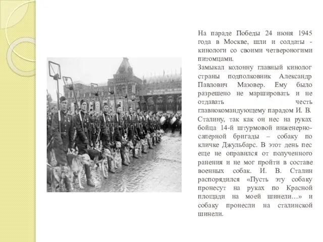 На параде Победы 24 июня 1945 года в Москве, шли и солдаты