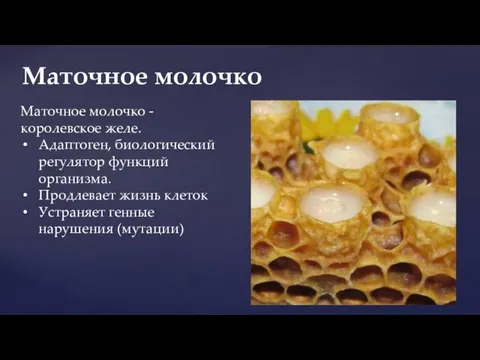 Маточное молочко Маточное молочко - королевское желе. Адаптоген, биологический регулятор функций организма.