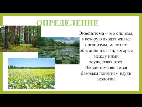 Экосистема – это система, в которую входят живые организмы, место их обитания