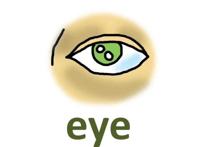 eye