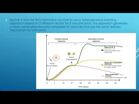 Sputnik V was the first coronavirus vaccine to use a heterogeneous boosting