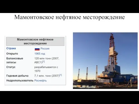 Мамонтовское нефтяное месторождение